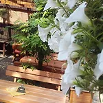 Penzion A Restaurace U Mamy