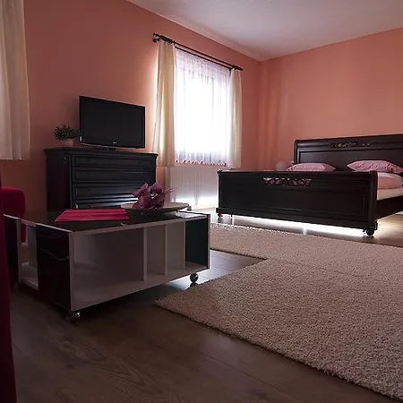 Gæstehus Penzion A Restaurace U Mamy Frýdek-Místek