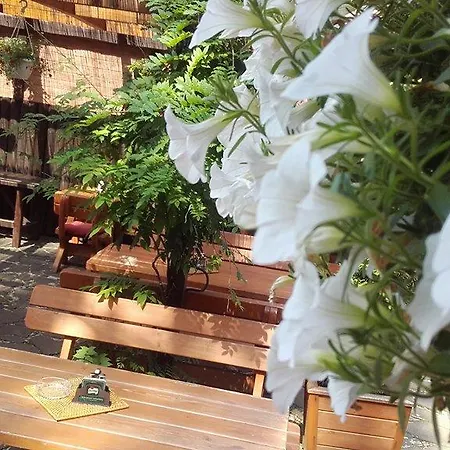 Penzion A Restaurace U Mamy